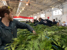 Load image into Gallery viewer, Cedar Garland (per linear foot)