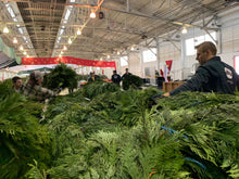 Load image into Gallery viewer, Cedar Garland (per linear foot)