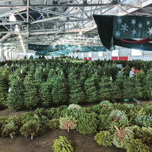 Load image into Gallery viewer, Real Christmas Trees (Fresh-Cut Noble Fir)
